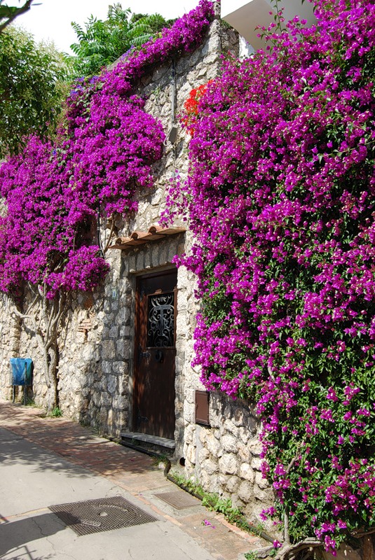 NewPix.ru - Живописный остров Капри,Италия