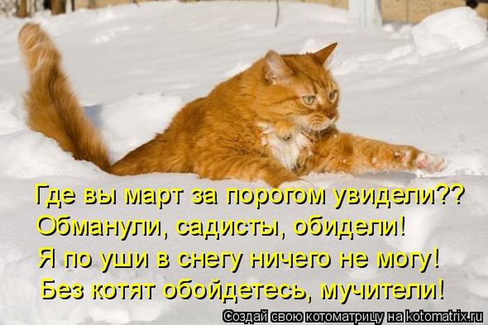 Мысли вслух :)