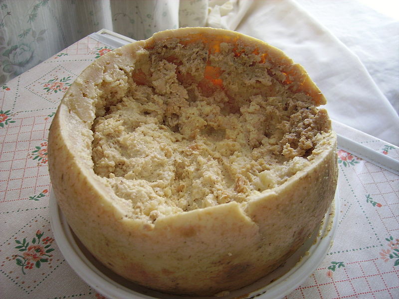 7. Казу Марцу (традиционный сардинский овечий сыр с опарышами) 7. Казу Марцу (традиционный сардинский овечий сыр с опарышами) блюдо, мир, экзотика