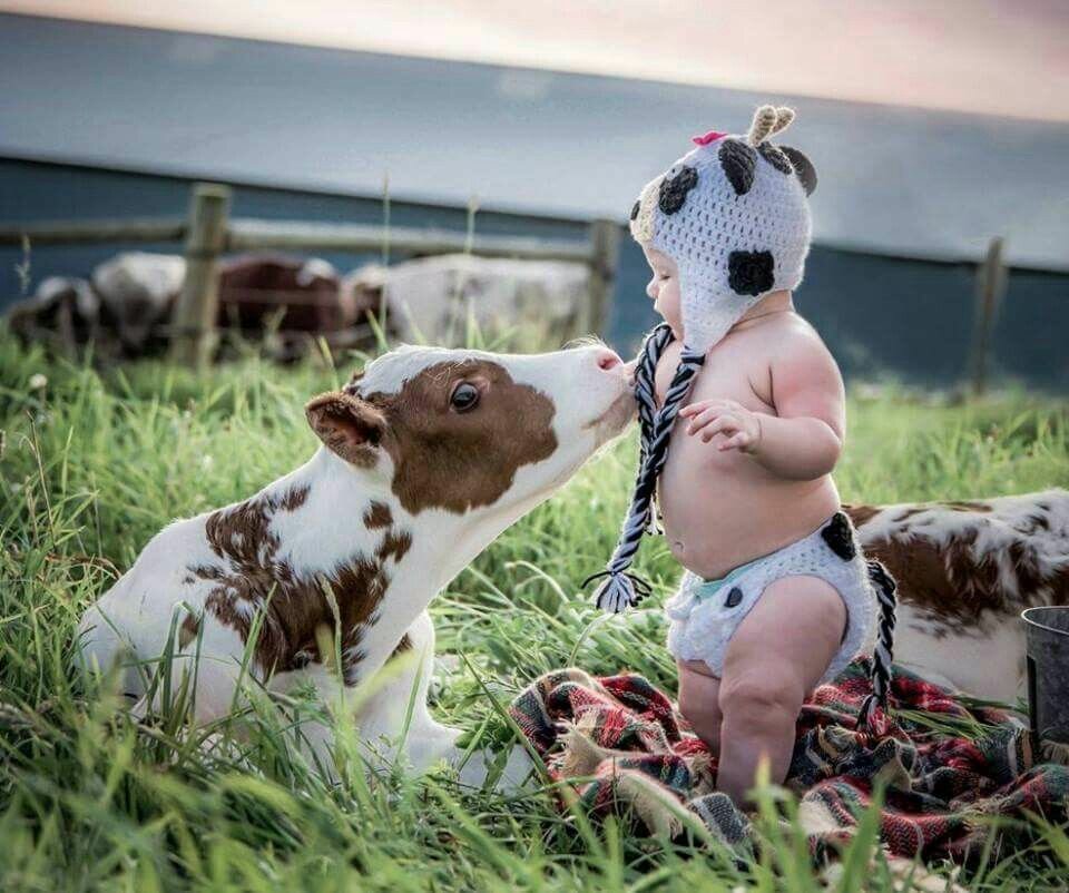 Фото взято из открытого источника Яндекс.Картинки