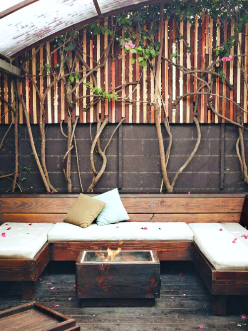 dacha10