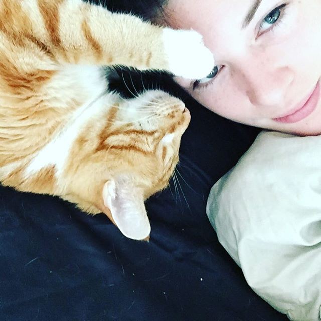 Невинный инстаграм порнозвезды Стои Невинный инстаграм порнозвезды Стои Instagram, порнозвезда, стоя