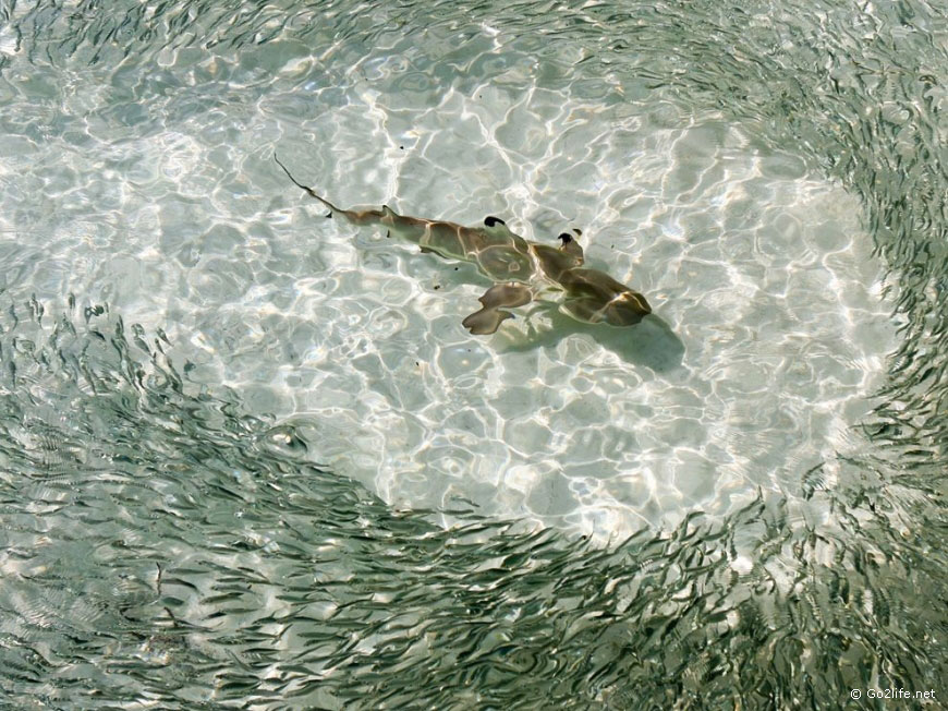 25 лучших фотографий National Geographic. Часть 1