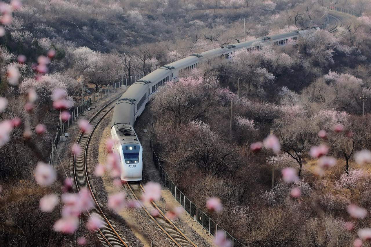 Повседневная жизнь в фото