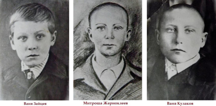 Школьники, которым хватило смелости бороться с захватившими деревню фашистами. Девицкие Орлята: Расстрелянные фашистами пионеры-герои, о которых нам не рассказывали в школе
