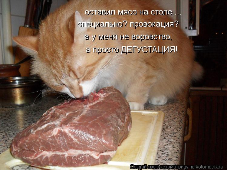 Котоматрица: оставил мясо на столе.... специально? провокация? а у меня не воровство, а просто ДЕГУСТАЦИЯ!