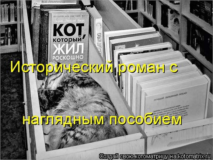 Мысли вслух :)
