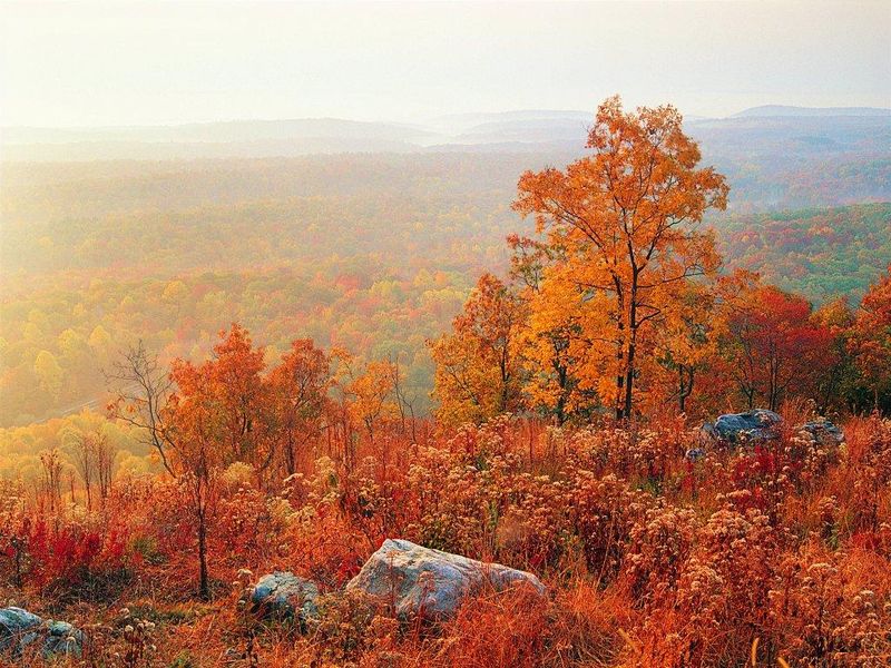 Золотая осень (20 фото)
