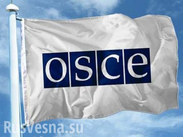 Агенты СБУ в масках схватили наблюдателя ОБСЕ :  ему надели мешок на голову и заковали в наручники | Русская весна