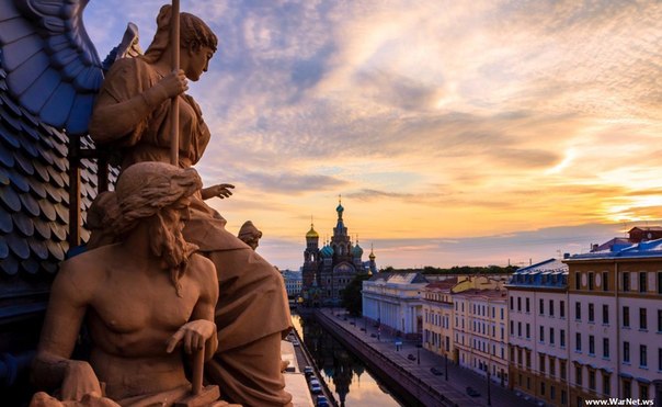 Загадочные обитатели петербургских крыш Загадочные обитатели петербургских крыш
