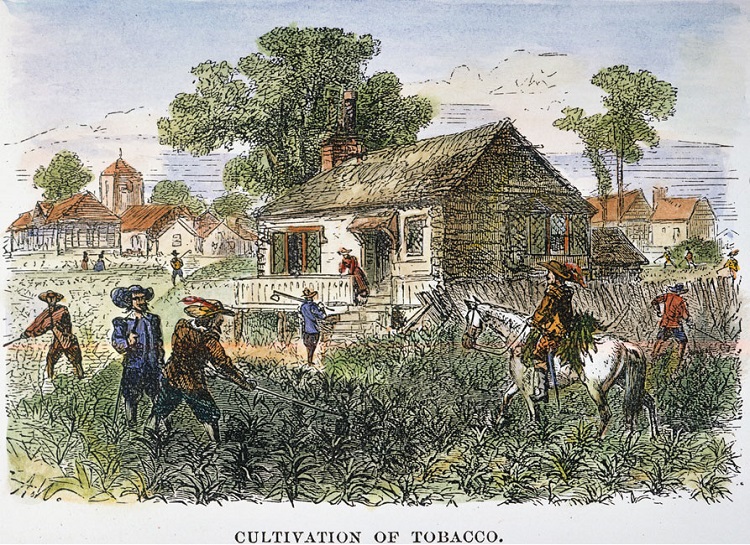 the history of tobacco in colonial virginia The traditional telling of early jamestown history portrayed those pioneers as ill-suited for the task but 20 years of jamestown remained the capital of virginia. the history of tobacco in colonial virginia The traditional telling of early jamestown history portrayed those pioneers as ill-suited for the task but 20 years of jamestown remained the capital of virginia.