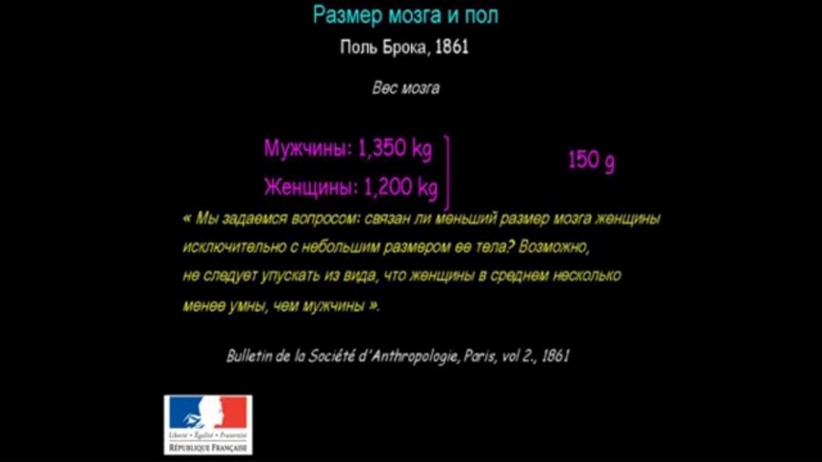 виндаль3 Как устроен мозг