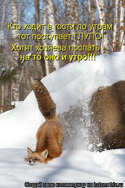 Мысли вслух :)