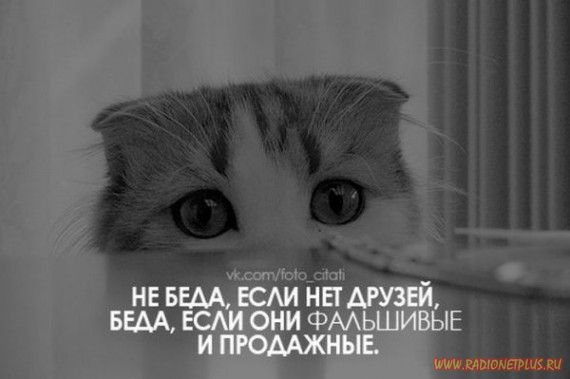 Слова, цитаты, юмор и просто советы в картинках Слова, цитаты, юмор и просто советы в картинках