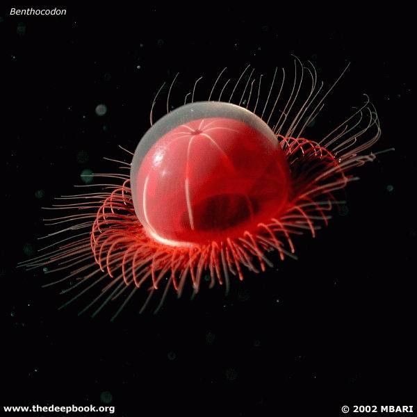 vpadina023