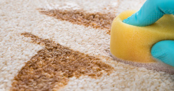 17 ����������� �������� ������������� ������ ����� � ���� ������ �����, ����������, ������