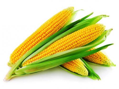 Топ-25: Продукты питания, которые лучше не есть перед свиданием Продукты питания, которые лучше не есть перед свиданием