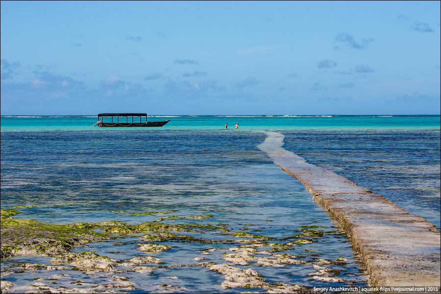 Ras Michamvi, Zanzibar / Ras Michamvi