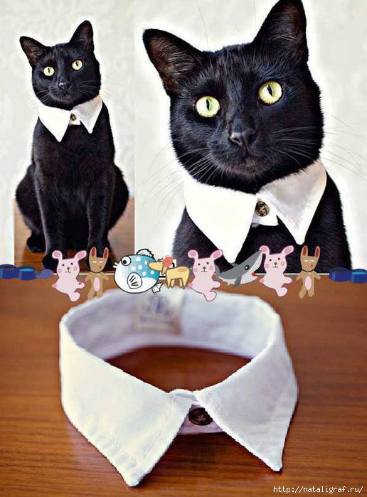 4045361_217329_374117759375313_878677712_n_1_ (516x700, 157Kb)