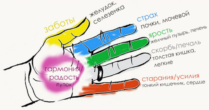 Она держит себя за палец 20 секунд. Результат просто поразительный! палец, факты