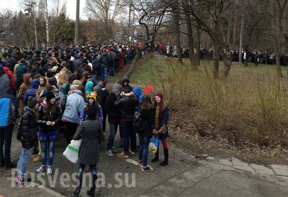 В День Дурака протестанты под посольством США в Киеве мычали, блеяли и ели капусту под лозунгами: «Мы не скоты!» | Русская весна