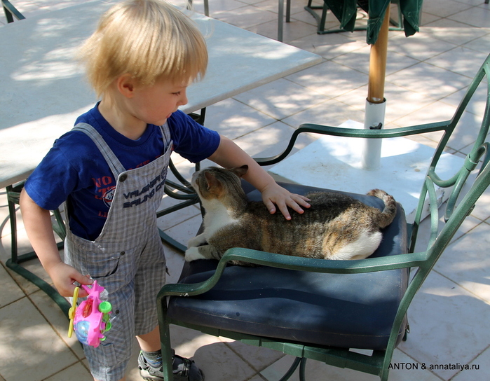 IMG_0305 (700x544, 235Kb)