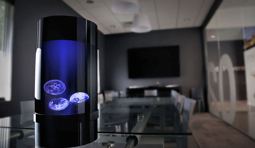 pet-jellyfish-art-led-aquarium-3