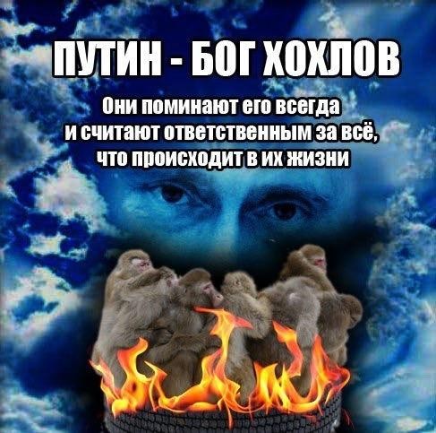 Александр Роджерс: Путин и укроп — молитесь за здравие, неблагодарные Александр Роджерс: Путин и укроп — молитесь за здравие, неблагодарные