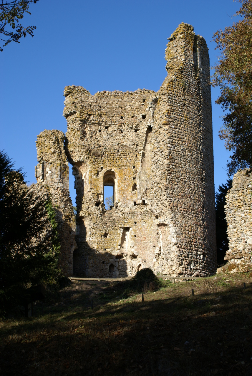 http://upload.wikimedia.org/wikipedia/commons/c/cc/Chateau_de_Freteval.jpg