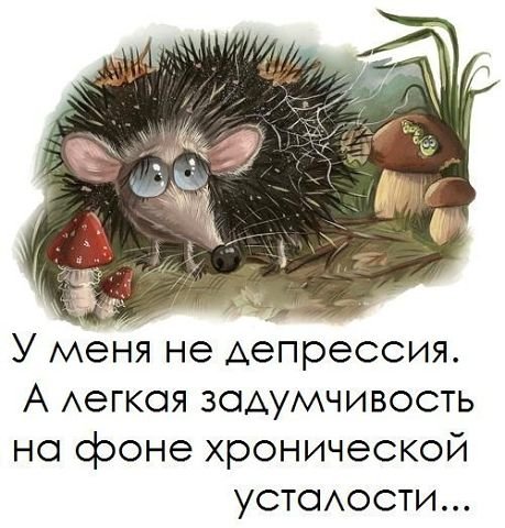-,      ! -,   ? -  ...