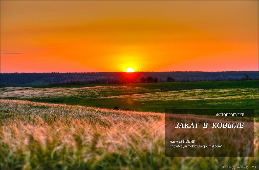 Фотопрогулки. Закат в ковыле Фотопрогулки. Закат в ковыле