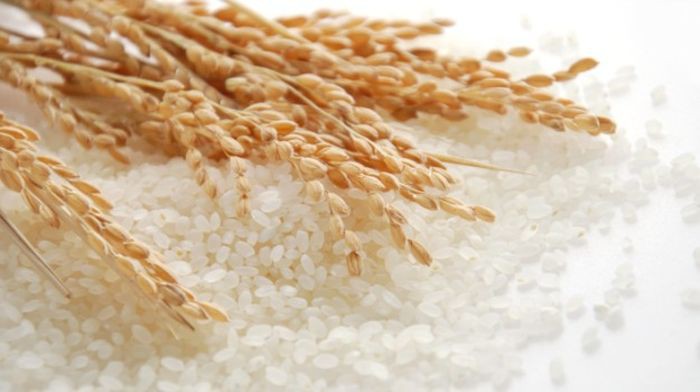 цельнозерновые продукты для похудения список цельнозерновые продукты для похудения список