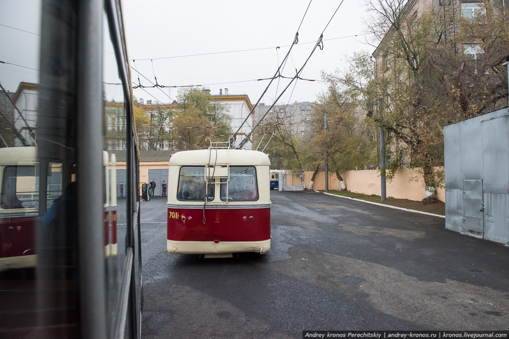 Рогатые раритеты Рогатые раритеты