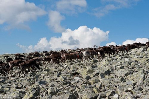 Лучшие национальные парки Европы по версии издания Lonely Planet (16 фото)