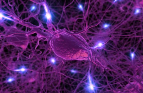 Наночастицы и нейроны