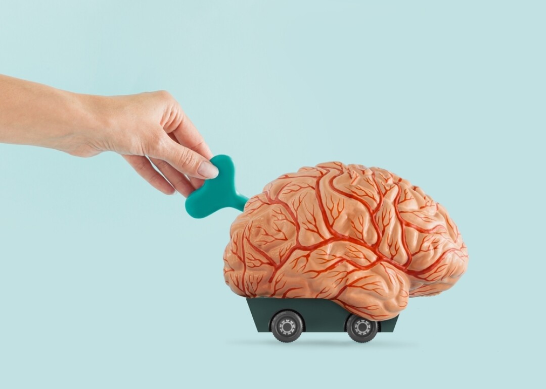 Компьютерные игры и головоломки помогают тренировать память и развивать мозг