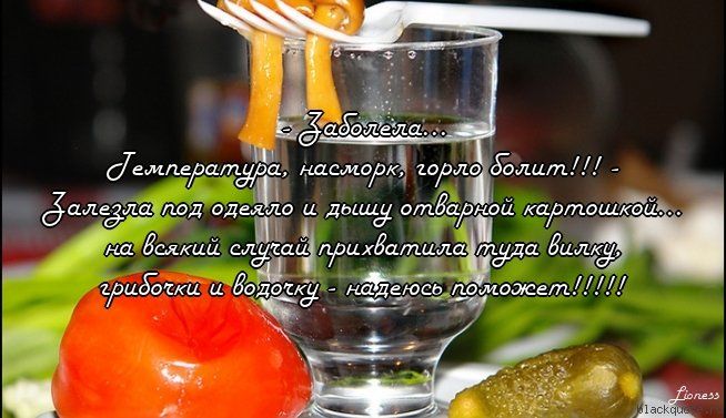 Прикольные цитаты в картинках Прикольные цитаты в картинках