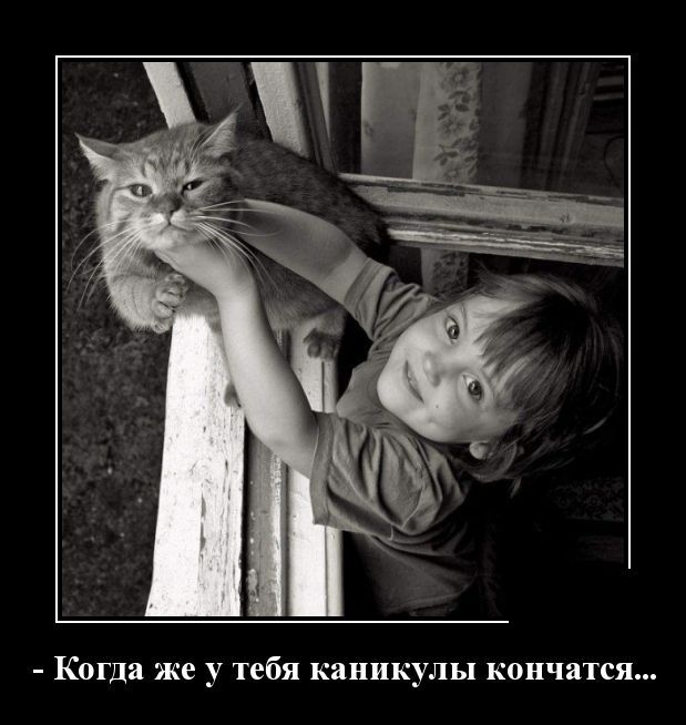 Демотиваторы Демотиваторы