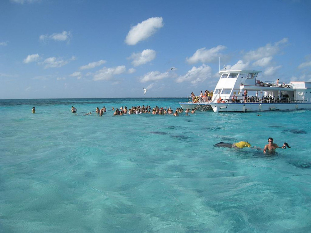 Stingray City, Grand Cayman