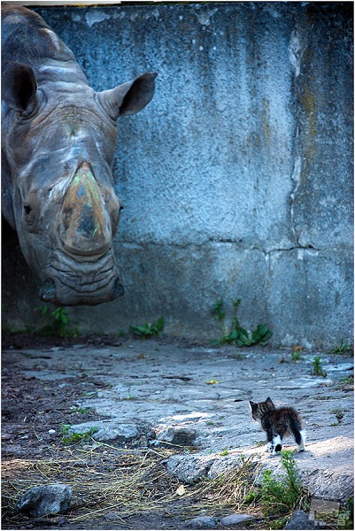 Лучшие фотографии России за 2011 год Лучшие фотографии России за 2011 год
