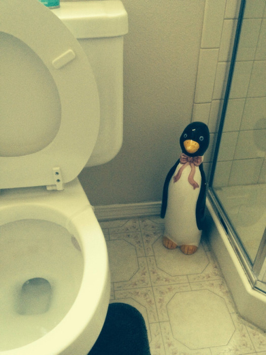Пингвин, который видел многое вещи, прикол, фото