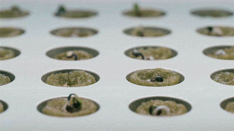 в цветах: Бежевый, Светло-серый, Серый. в .