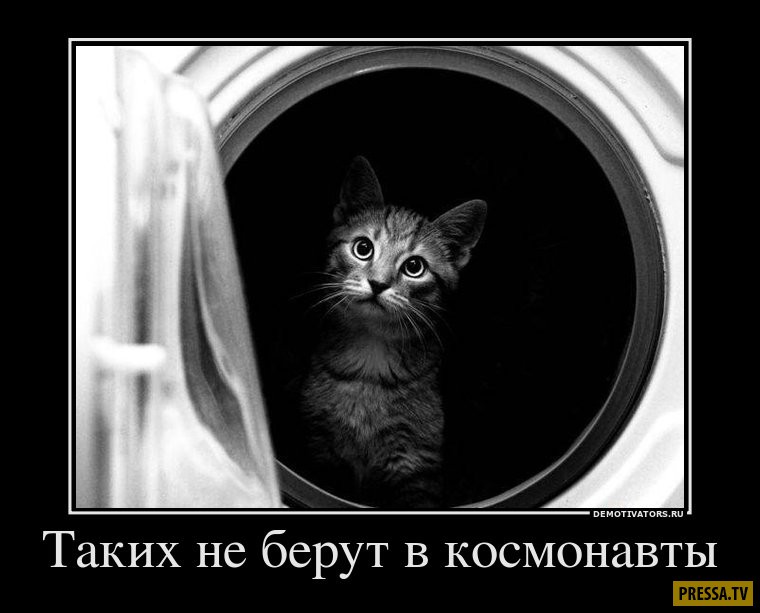 Свежие смешные демотиваторы (42 фото) Свежие смешные демотиваторы (42 фото)