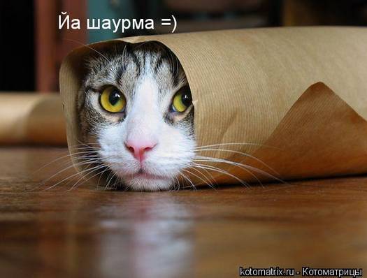 30 вещей, которые убил Интернет 30 вещей, которые убил Интернет