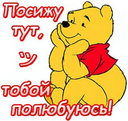 Прикольные поздравления с получением прав Прикольные поздравления на свадьбу