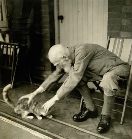 Нельзя сказать, что Бернард Шоу был великим кошатником, но он сказал: «Человек культурен настолько, насколько он способен понять кошку».