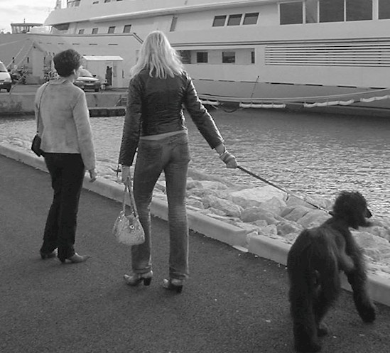     ,     ,        .  transgender,  , 