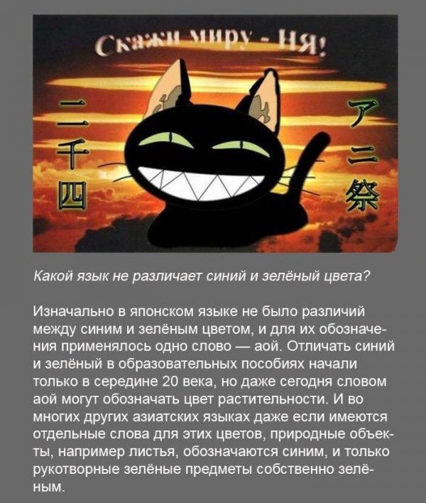 Интересные факты (19 фото) Интересные факты (19 фото)