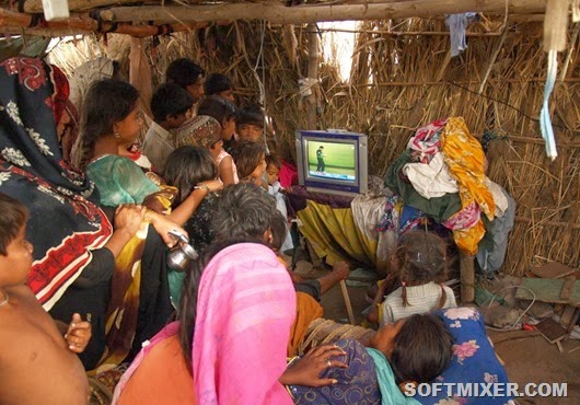 Pakistan Cricket WCUP reax Pakistan Cricket WCUP reax
