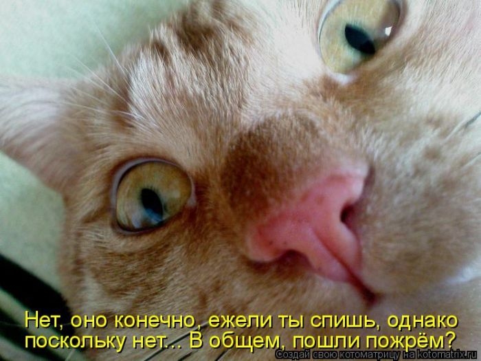 1426799333_25 (700x525, 189Kb)